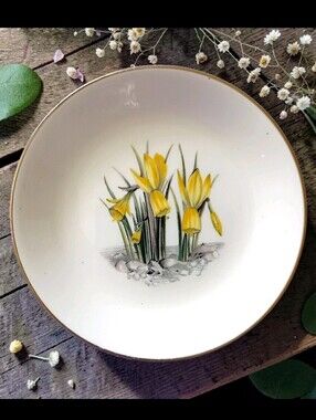 Vtg Royal Worcester Alpine Flowers Bone China Trinket Dish Daffodil Gold England